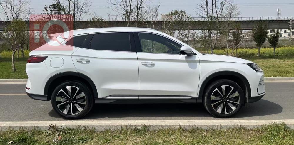 بي واي دي سونغ بلس